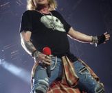 Axl Rose / Guns N' Roses